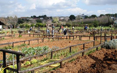 Il Villaggio che c’è: giornata del riuso e del riciclo